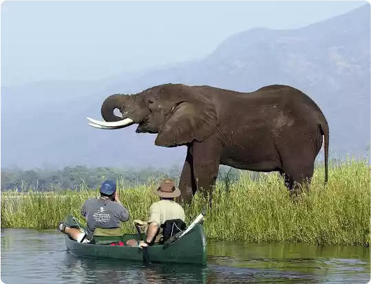 About DominicanRepublicTenders